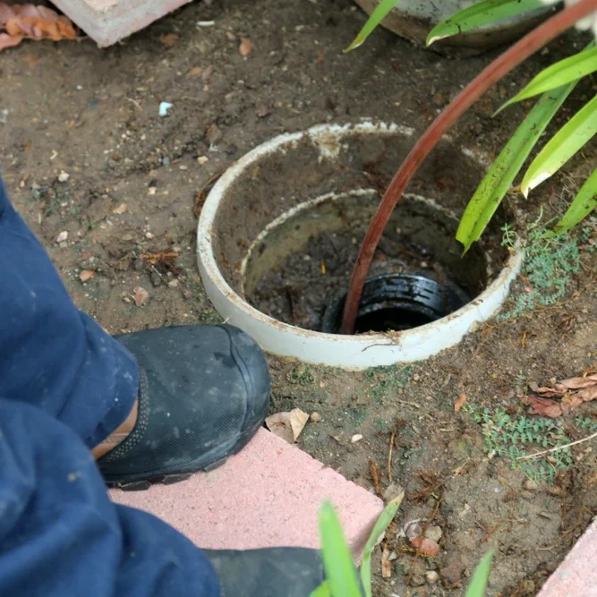 Plumber performing outdoor sewer line cleaning